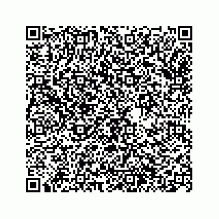vCard 74963446312