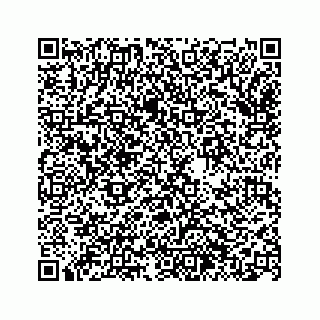 vCard 74963446313
