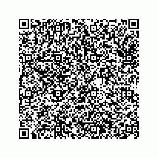 vCard 74963446323