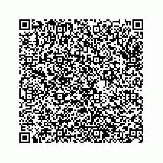 vCard 74963446329