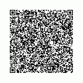 vCard 74963446333