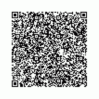 vCard 74963446353