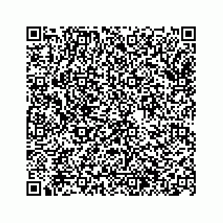 vCard 74963446373