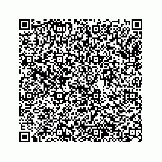 vCard 74963446380
