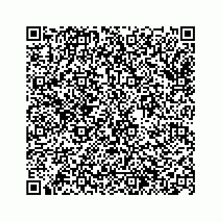 vCard 74963446381