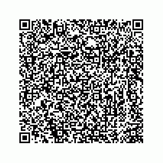 vCard 74963446383