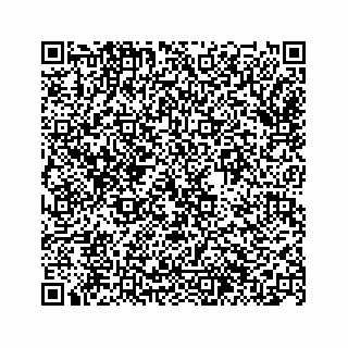 vCard 74963446384