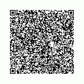 vCard 74963446385