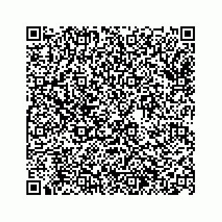 vCard 74963446387