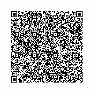 vCard 74963446393