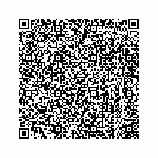 vCard 74963472701