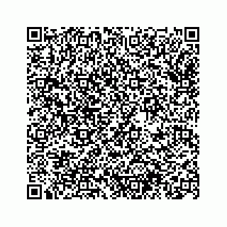vCard 74963472713
