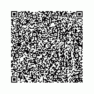 vCard 74963472727