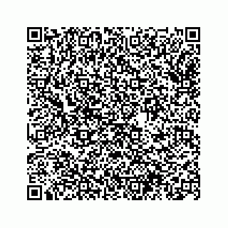 vCard 74963472729