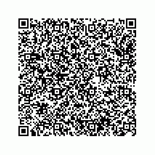vCard 74963472733