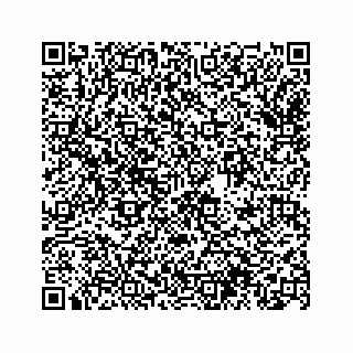 vCard 74963472735