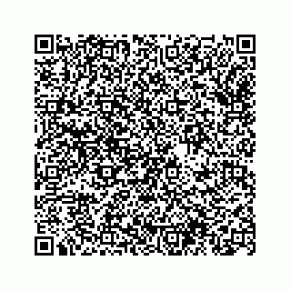 vCard 74963472738