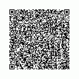 vCard 74963472741