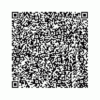 vCard 74963472751