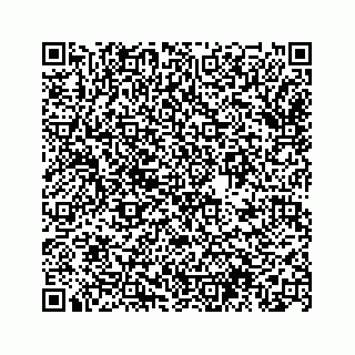 vCard 74963472753