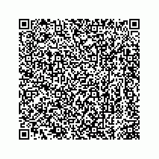 vCard 74963472759