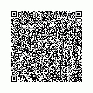 vCard 74963472772