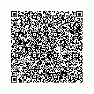 vCard 74963472779