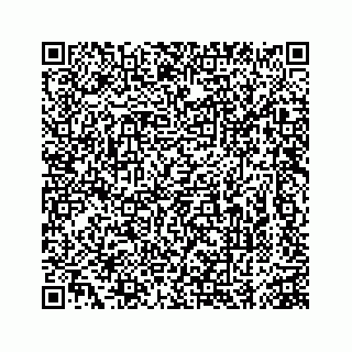 vCard 74963472785