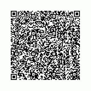 vCard 74963472787