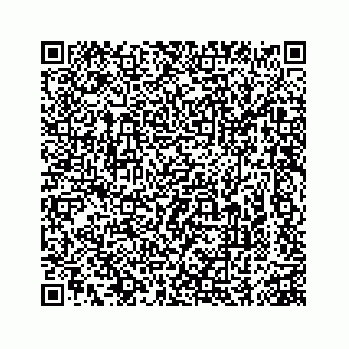 vCard 74963472792