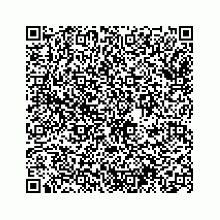 vCard 74963472795