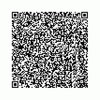 vCard 74963472817
