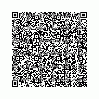 vCard 74963472819