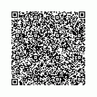 vCard 74963472841