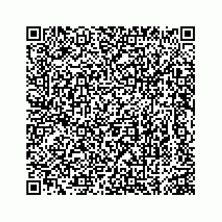 vCard 74963472863