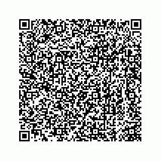 vCard 74963472879