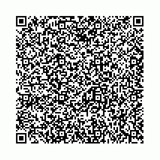 vCard 74963474373