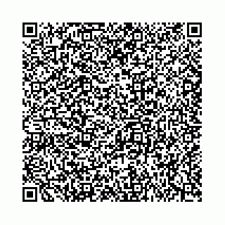 vCard 74963474413