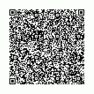 vCard 74963474513