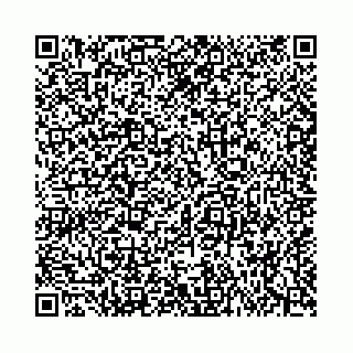 vCard 74963474525