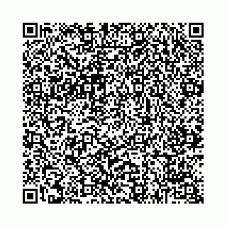 vCard 74963474873