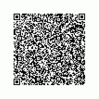 vCard 74963483339