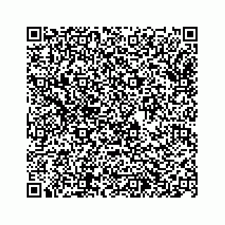 vCard 74963488118