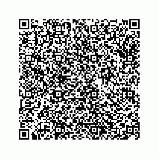 vCard 74963488221