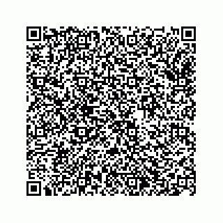 vCard 74963488279