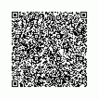 vCard 74963566125