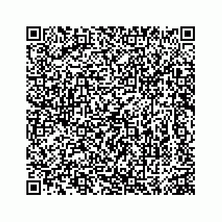 vCard 74963566217