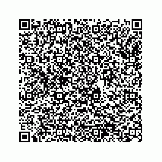 vCard 74963566275