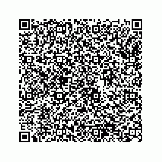 vCard 74963566279