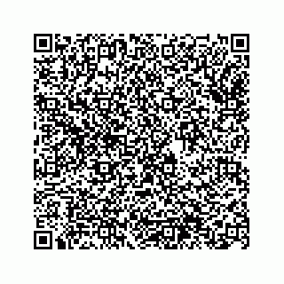 vCard 74963566295